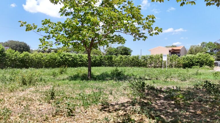 Residential Lot for Sale in El Real, Liberia – Prime Location 4km South
