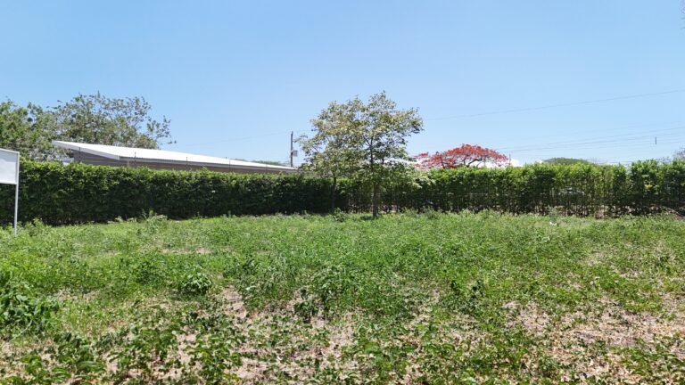 Residential Lot for Sale in El Real, Liberia – Prime Location 4km South