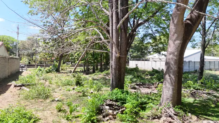 Lote de Uso Mixto de 1.118 m² en Venta en Barrio La Cruz, Liberia