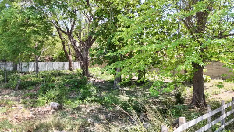 Lote de Uso Mixto de 1.118 m² en Venta en Barrio La Cruz, Liberia