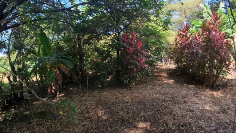 Quinta en venta, Residencial Don Miguel 6,092 m² | Bagaces