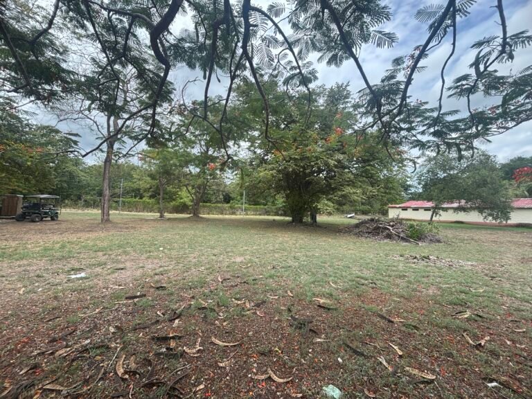 Lote en venta en Playa Potrero, 734 m², Guanacaste