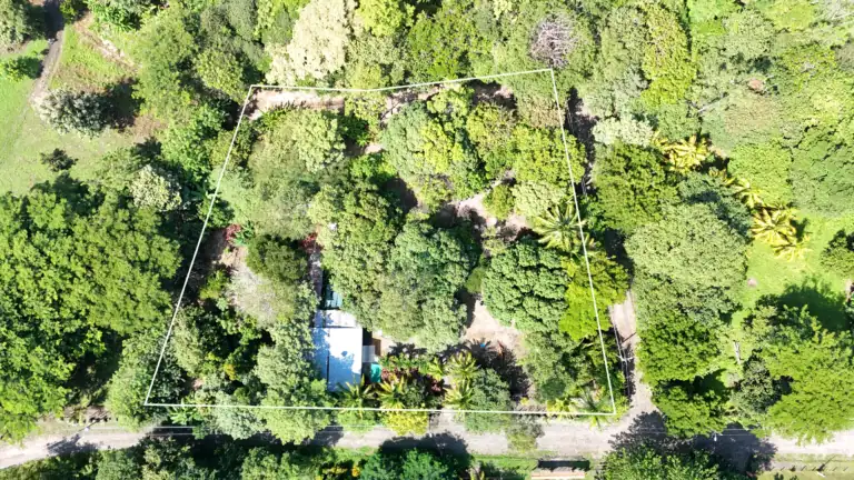 Quinta en venta, Residencial Don Miguel 6,092 m² | Bagaces