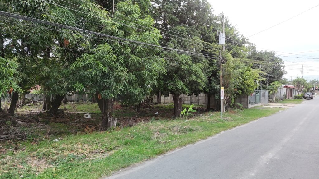 Lote en venta en Barrio La Cruz, Liberia | 1,178 m² con Uso Mixto