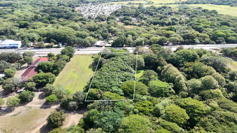 Terreno industrial en venta en Liberia: 7.316 m² frente a la Ruta 1