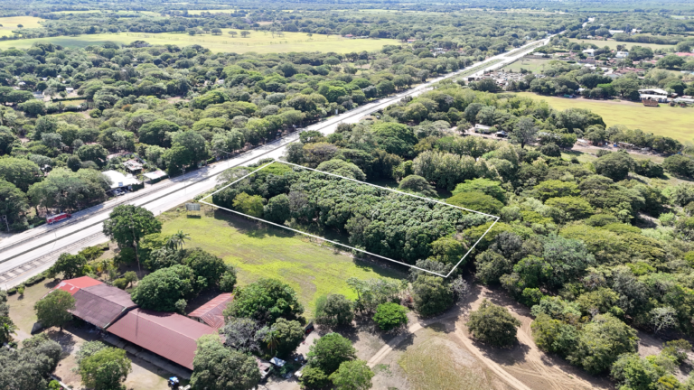 Terreno industrial en venta en Liberia: 7.316 m² frente a la Ruta 1