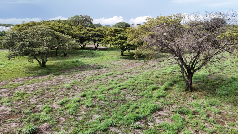 Lote comercial de 3.251 m² en venta en Liberia, Guanacaste – Uso mixto y dos frentes