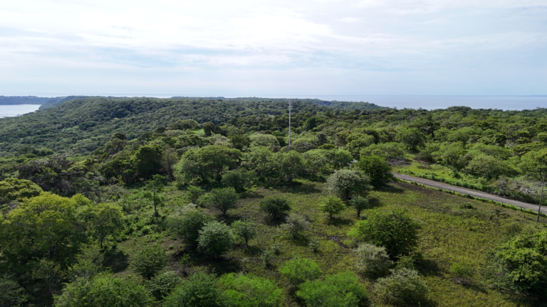 Terreno con vista al mar en venta en Península Papagayo | Guanacaste